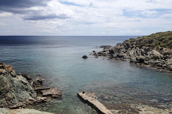 Authentic Greek Cooking & Foraging Experience in Syros with Maria - A strong choice for vegetarians and curious meat eaters