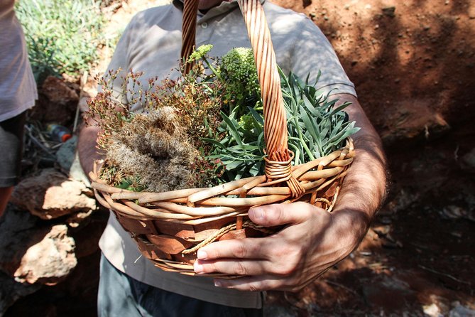 Authentic Greek Cooking & Foraging Experience in Syros with Maria - Getting there from Megas Gialos