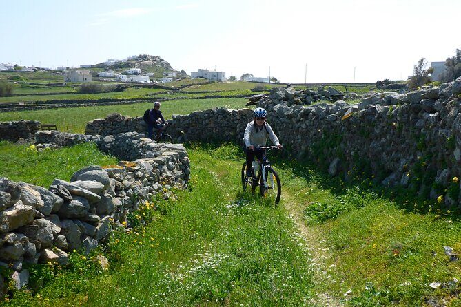 Authentic Mykonos bike tour - Key Things I’d Bet On Before You Book