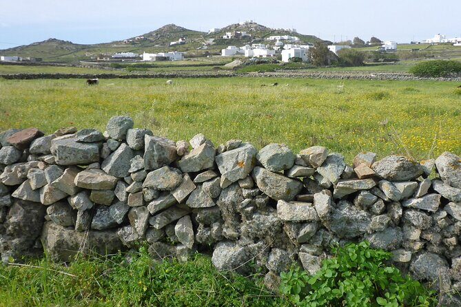 Authentic Mykonos bike tour - Stop-by-Stop: From Panayia Tourliani to Fokos Beach and the Vioma Vineyard