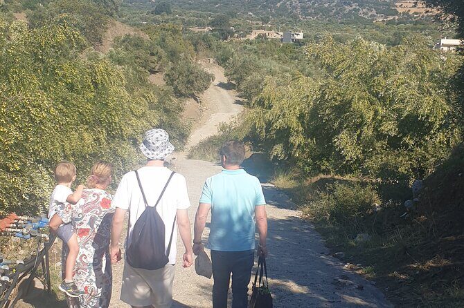 Authentic Olive Oil and Cultural Experience in Crete - The key stops: groves, cooperative, and Paradeisos lunch