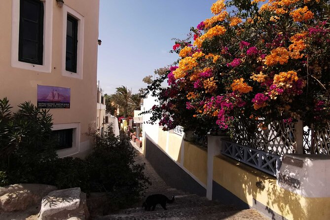 Authentic Santorini: A Self-Guided Audio Tour of Oia - Why the Local Voice Matters