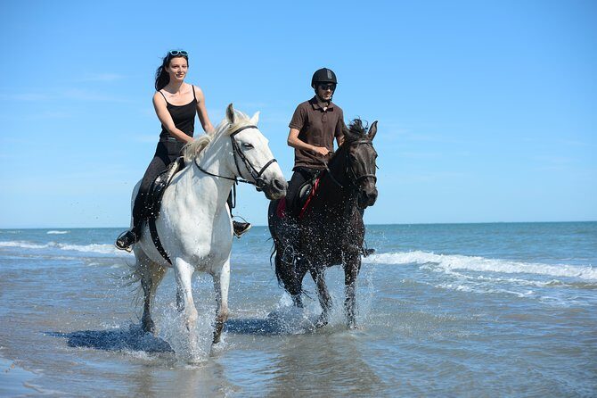 Awaken to Paros: A Scenic Morning Horseback Ride - Key points before you mount up