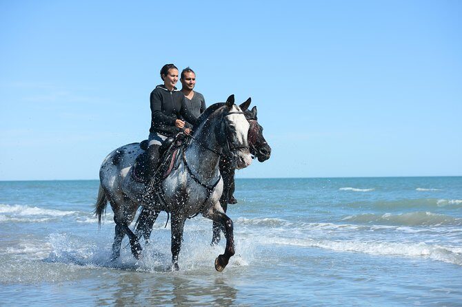 Awaken to Paros: A Scenic Morning Horseback Ride - Safety at Kormos Farm: helmets, footwear, and the 110 kg limit
