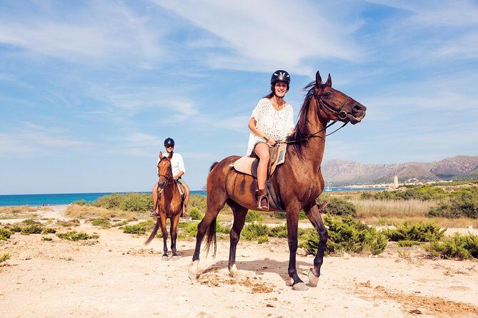 Awaken to Paros: A Scenic Morning Horseback Ride - The one-hour trail ride near Paroikia: what you’re really buying