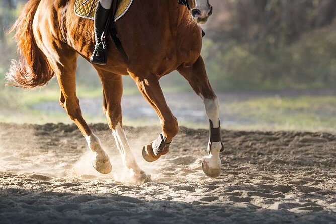 Awaken to Paros: A Scenic Morning Horseback Ride - Guides and conversation: local names, local timing
