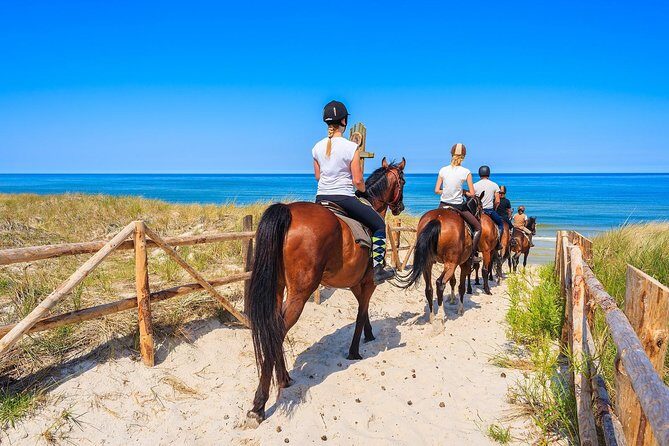 Awaken to Paros: A Scenic Morning Horseback Ride - Price and value: is $104.42 a good deal?