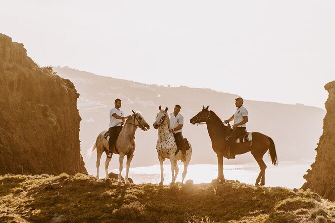 Beach Gallop - Horse Riding Safari for Experienced Riders - From Megalochori Stables Through Vine Paths