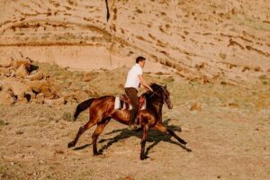 Beach Gallop - Horse Riding Safari for Experienced Riders - Eros Beach Gallop: Where the Real Satisfaction Hits