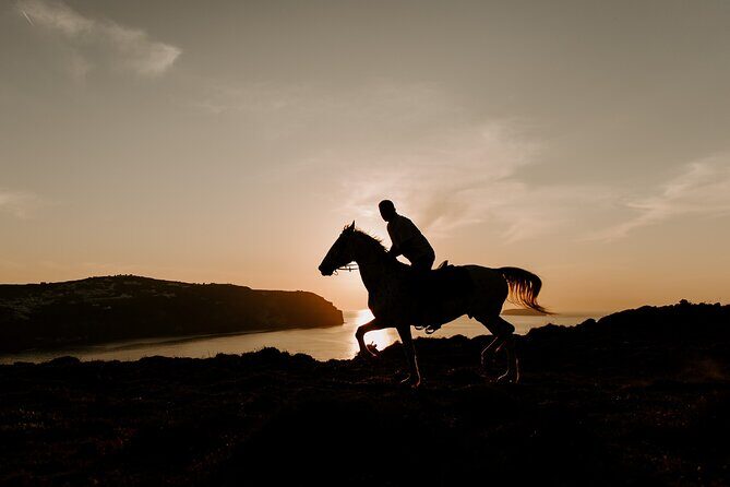 Beach Gallop - Horse Riding Safari for Experienced Riders - What the Tour Really Costs and What You’re Paying For