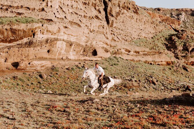 Beach Gallop - Horse Riding Safari for Experienced Riders - Guide Quality Makes or Breaks the Experience