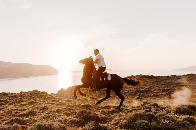 Beach Gallop - Horse Riding Safari for Experienced Riders - Who Should Book This and Who Should Skip It