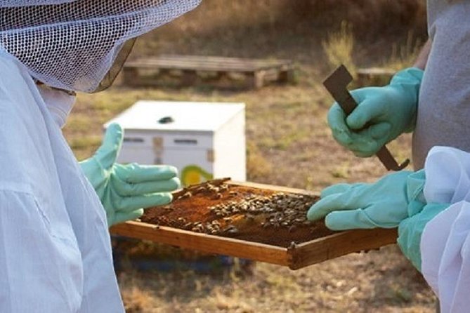 Beekeeper for a Day close to Nafplio - Why a bee farm makes a good Nafplio side trip