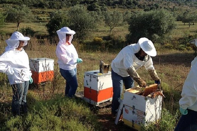 Beekeeper for a Day close to Nafplio - Putting on the suit and approaching the hives
