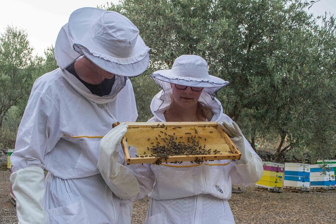 Beekeeping and Honey Stories in Itea - Key points to know