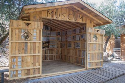 Beekeeping and Honey Stories in Itea - The opening lesson: bee society in plain language