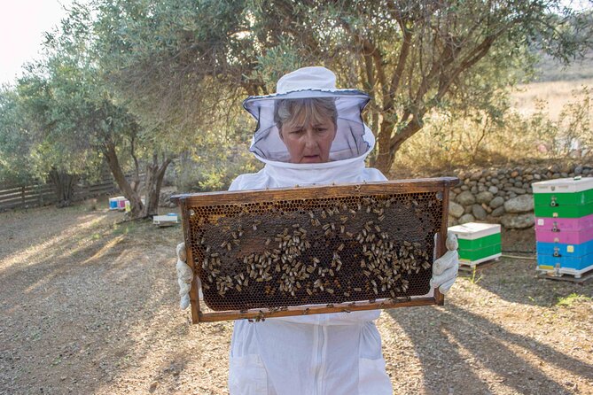 Beekeeping and Honey Stories in Itea - Honey, fruit, and Greek coffee