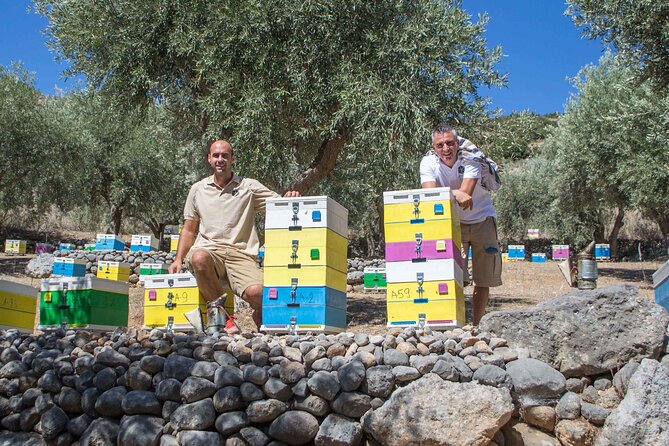 Beekeeping and Honey Stories in Itea - A quiet countryside setting near Itea