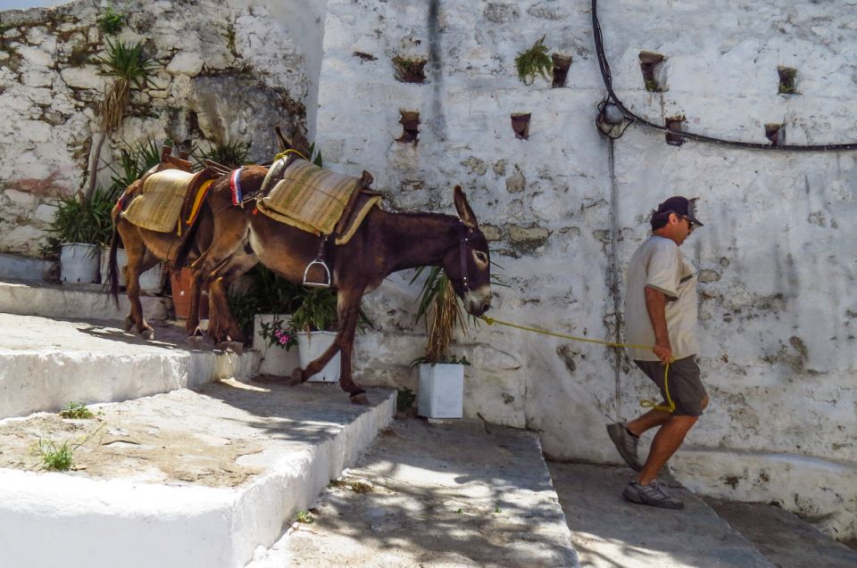 Best of Rhodes and Lindos Private Tour - Small Group - What The Drivers Add To The Day
