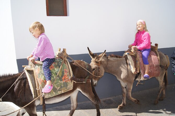 Best of Rhodes Cruise-Friendly Tour - Returning to Rhodes Old Town