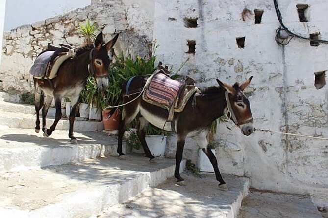 Best Rhodes Tour with Wine Tasting Experience from Cruise Port - Rhodes Old Town and the final walk through history