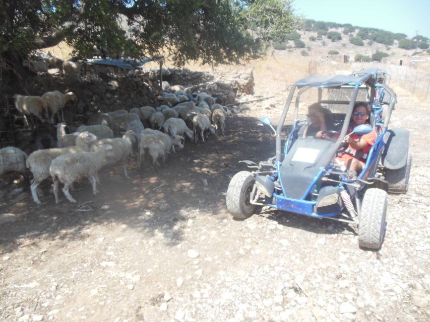 Buggy safari Crete (Transfer and lunch) analipsi- hersonisos - Milatos Cave: the reason most people remember the day