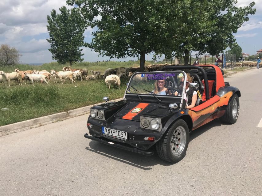 Buggy Safari " Discover Olympus " by Classic Buggy Rentals - How reliable are the buggies?