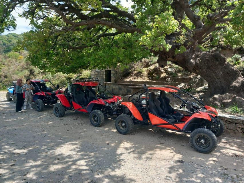 buggy safari half day 4 hours 4 hours ( hersonissos -Malia) - Seeing Malia Palace from the road