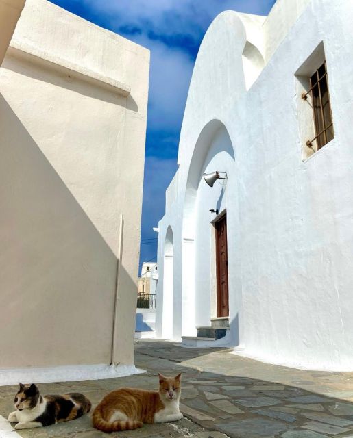 Bus Tour Around the island of Naxos - Damalas, pottery, and the old olive press
