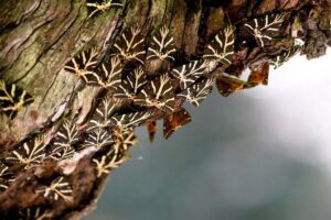 Butterfly Valley & Wine, Olive Oil, Honey Tasting Tour (Small Group) - The Wine Setting: More Than a Quick Sip