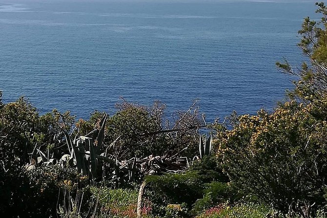 Cape Sounio and Temple of Poseidon Half Day Private Tour - What the driver service adds