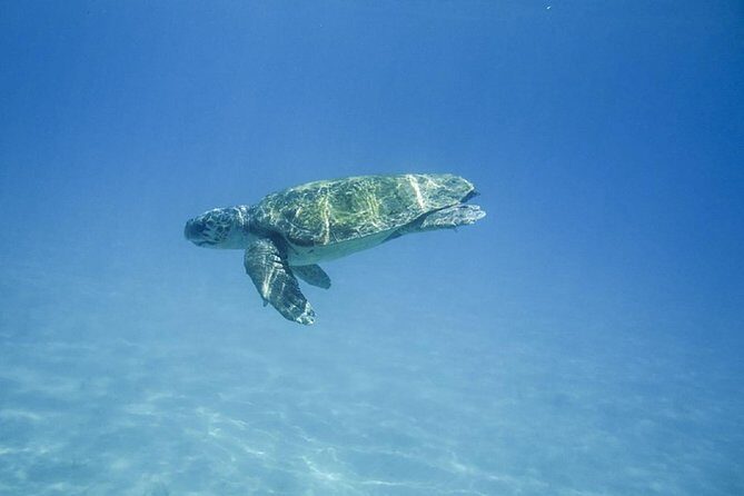 Caretta-Caretta Turtle Trip - Stop 2: Keri Caves and the Swim at Sea-Only Caves (About 30 Minutes)