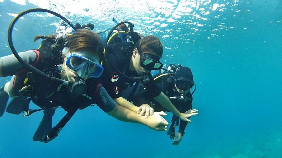 Chalkidiki: Scuba Diving for Beginners in Kassandra - Who this experience is best for (and who should rethink it)