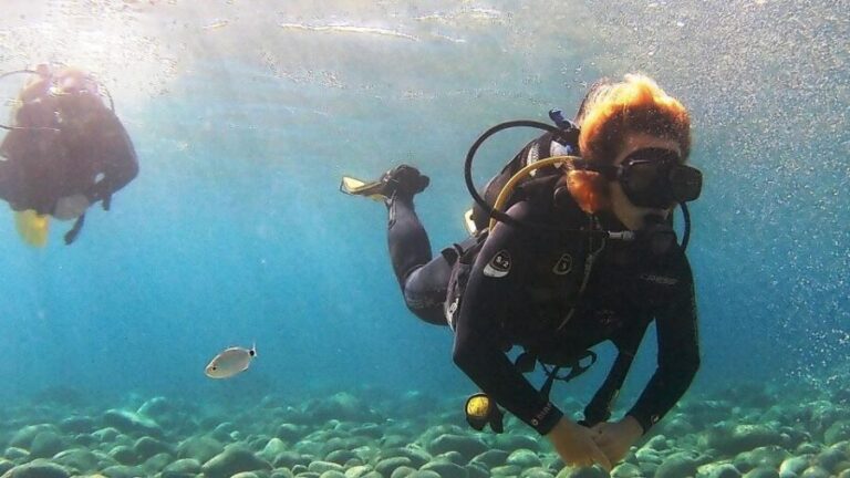 Chalkidiki: Scuba Diving for Beginners in Kassandra - Equipment, sanitization, and what “small group” really buys you