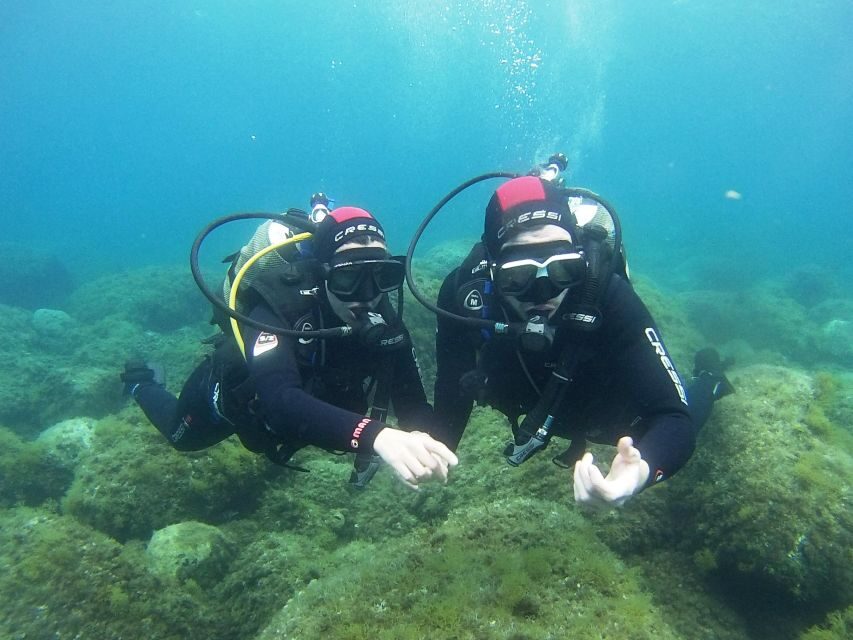 Chalkidiki: Scuba Diving for Beginners in Kassandra - Should you book this beginner scuba try on Kassandra?