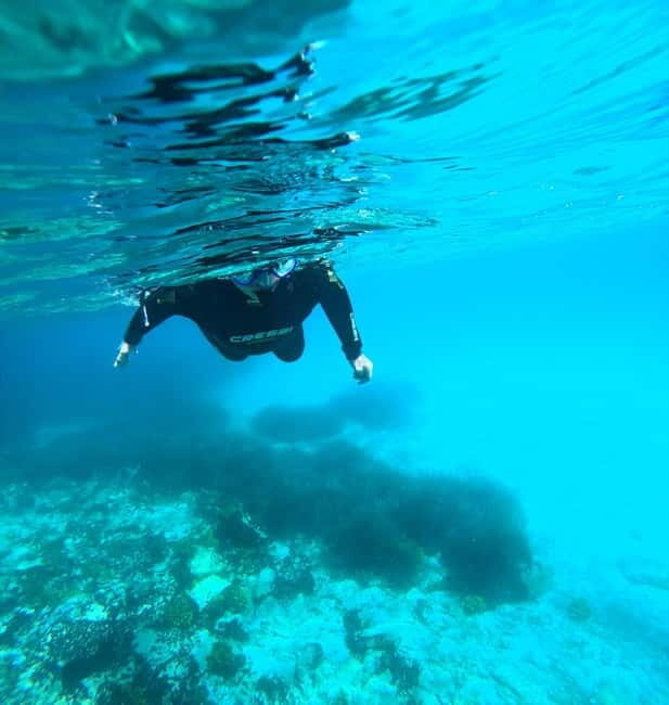 Chalkidiki: Snorkeling Adventure in Sithonia - Key highlights worth planning for