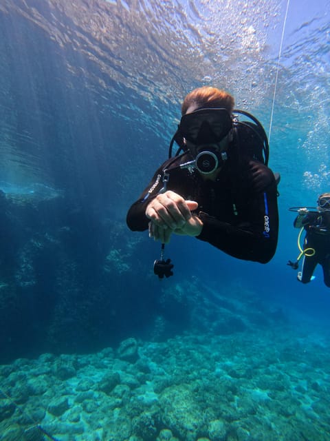 Chania: 2 Boat Dives for Certified Divers - Key points at a glance