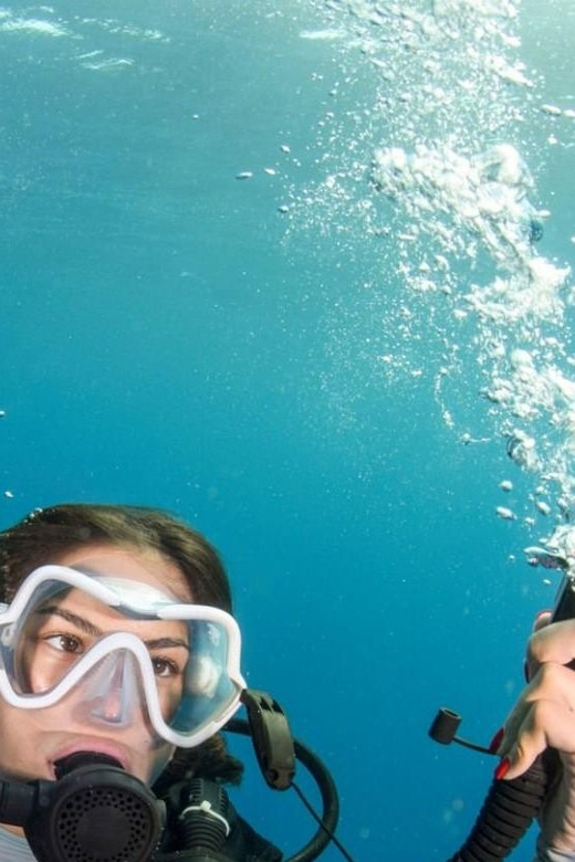 Chania: 2 Boat Dives for Certified Divers - What the $153 price really covers