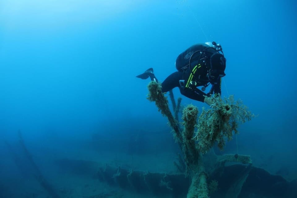 Chania: 2 Boat Dives for Certified Divers - Safety, fitness, and the flight rule