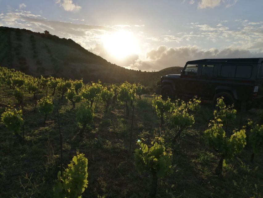 Chania 4x4 Sunset Safari Tour - Price and Value: Is $93 Worth It?