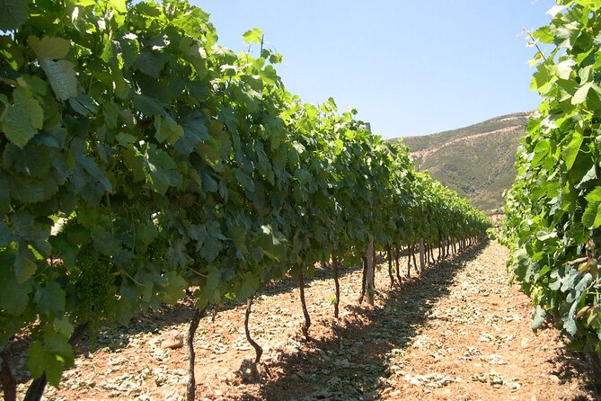 Chania 4x4 Sunset Safari Tour - Deres village and the Cretan meze table