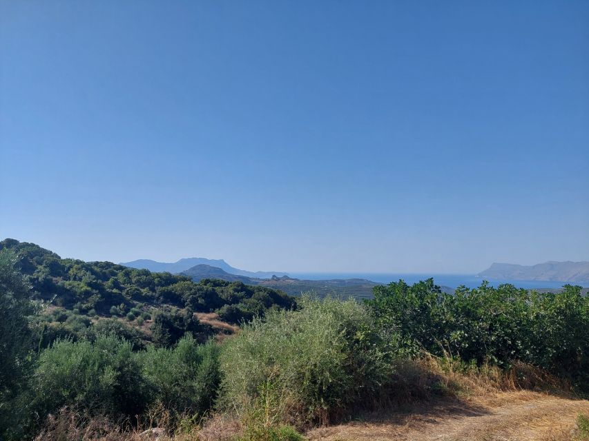 Chania: 5-Wine Tasting with Locals in Village near Kissamos - Five Cretan wines in a village near Kissamos