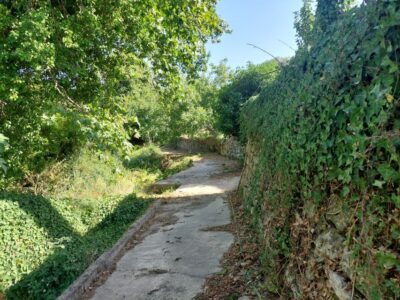 Chania: 5-Wine Tasting with Locals in Village near Kissamos - How the five-wine tasting works