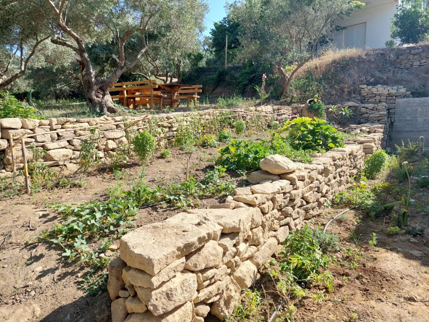 Chania: 5-Wine Tasting with Locals in Village near Kissamos - Why small-production Cretan wine matters