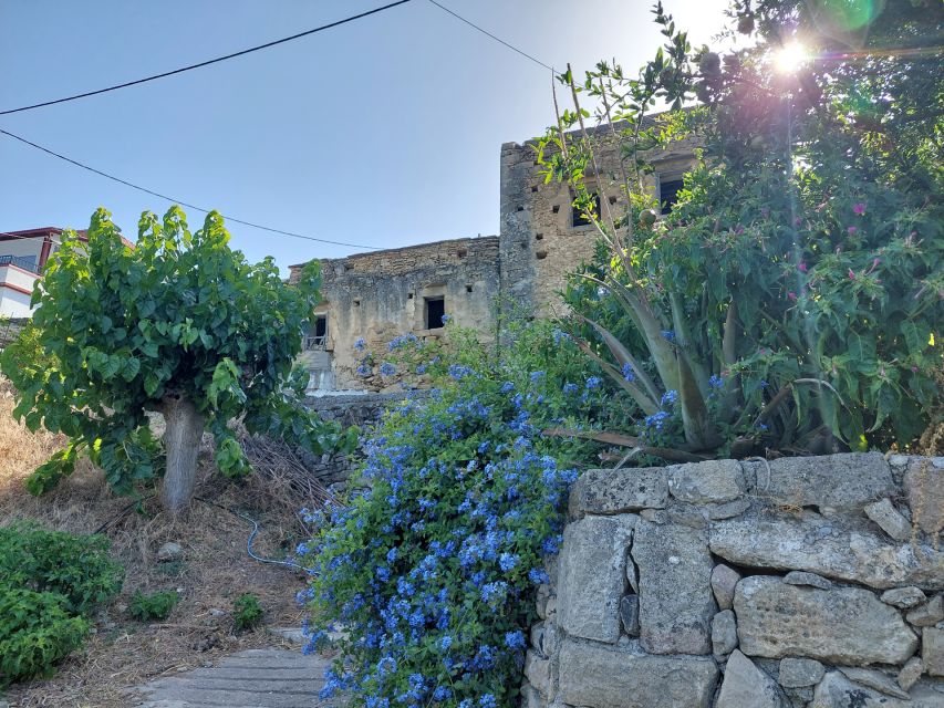 Chania: 5-Wine Tasting with Locals in Village near Kissamos - The village setting is part of the experience