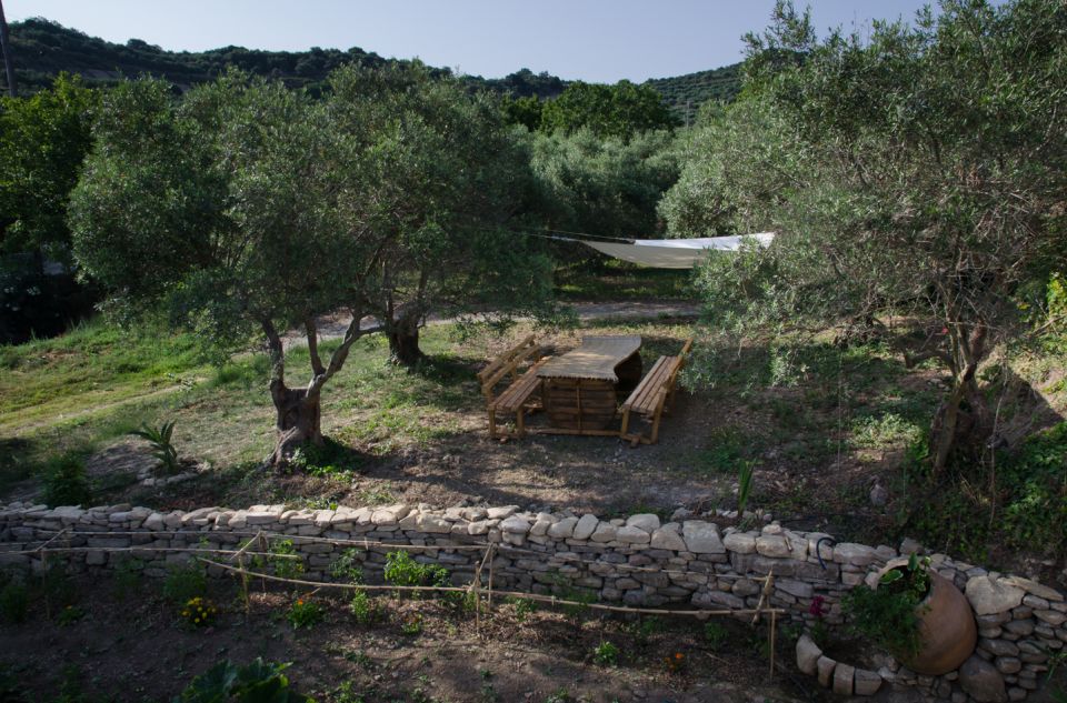 Chania: 5-Wine Tasting with Locals in Village near Kissamos - Who will enjoy the 90-minute format