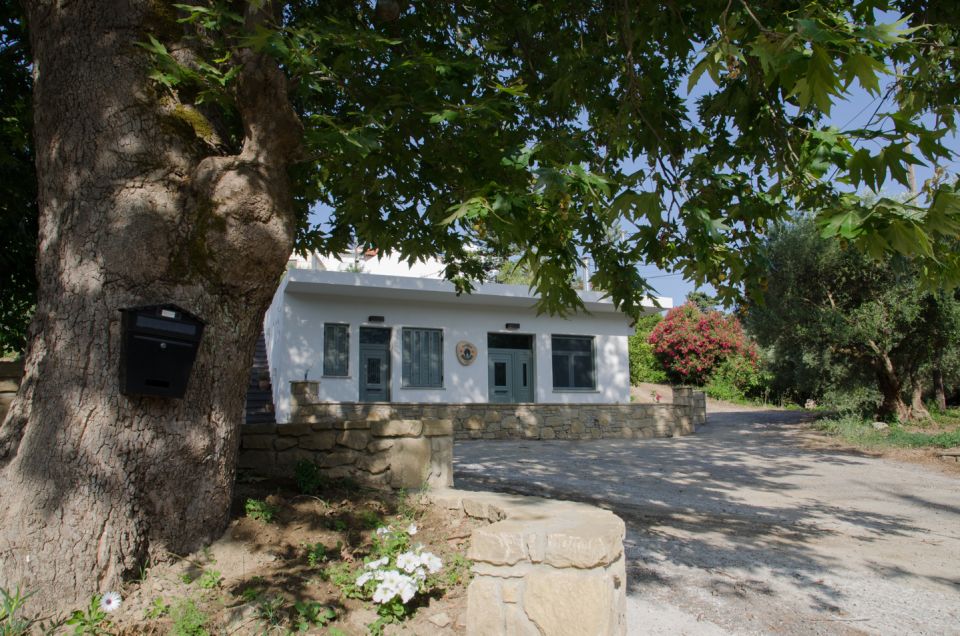 Chania: 5-Wine Tasting with Locals in Village near Kissamos - Practical details that affect your choice