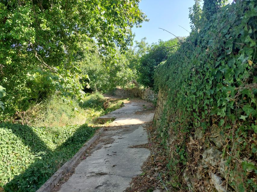 Chania: 5-Wine Tasting with Locals in Village near Kissamos - How the five-wine tasting works