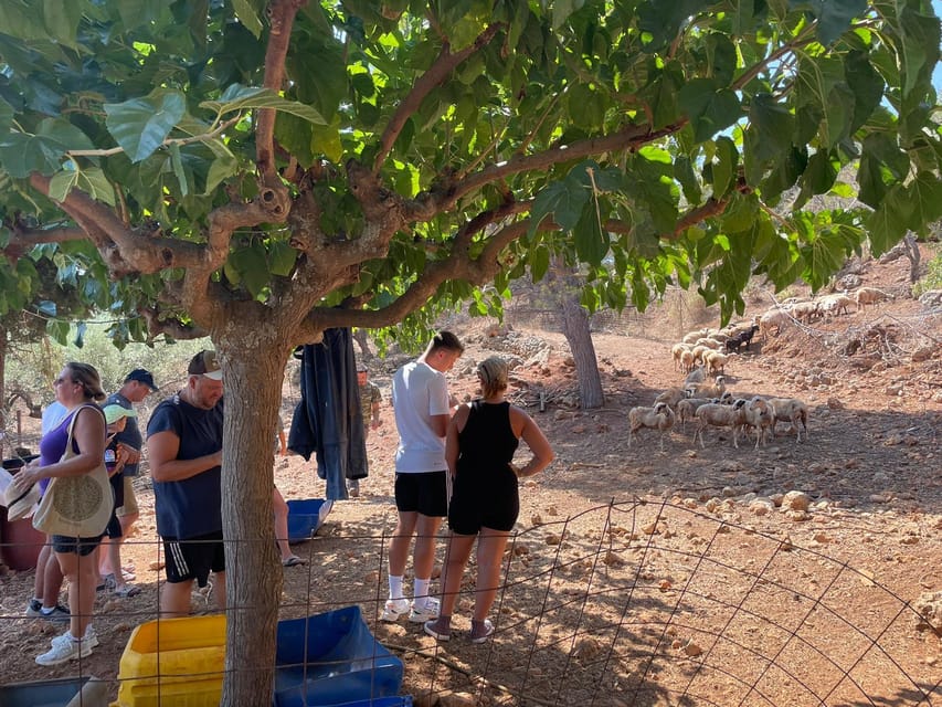 Chania Area: Cooking Class at a Farm in Stylos Village - Who will enjoy this experience most