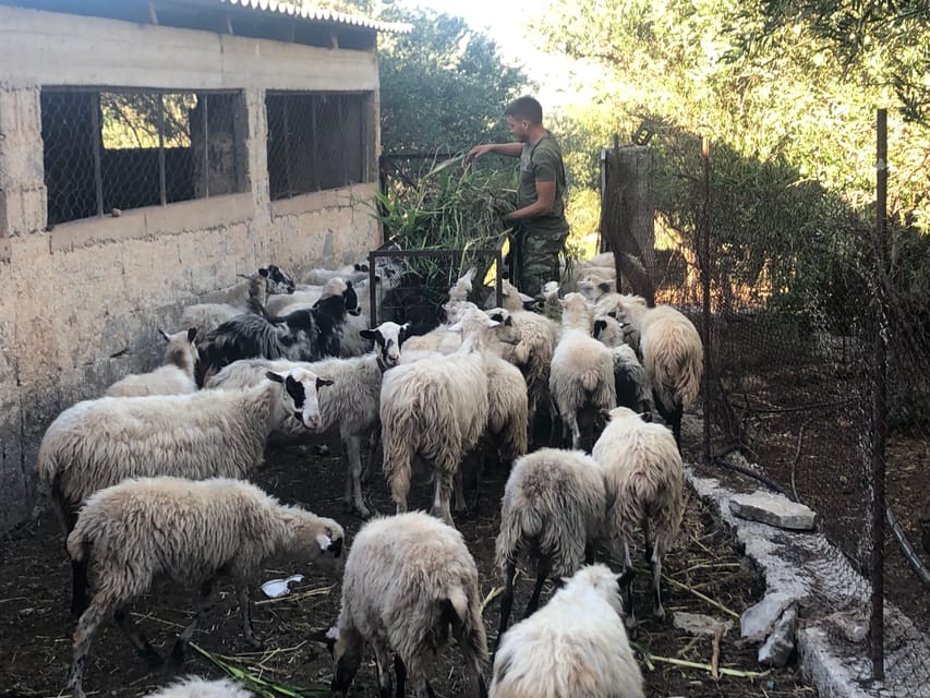 Chania Area: Cooking Class at a Farm in Stylos Village - Practical details for your day